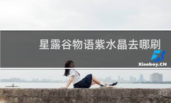 星露谷物语紫水晶去哪刷