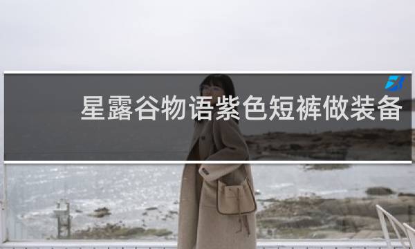 星露谷物语紫色短裤做装备