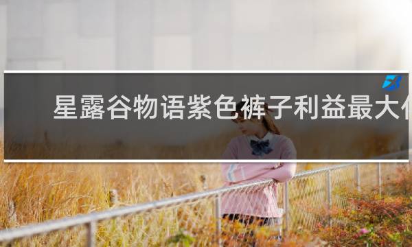 星露谷物语紫色裤子利益最大化