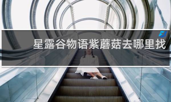 星露谷物语紫蘑菇去哪里找