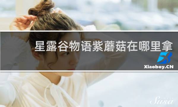 星露谷物语紫蘑菇在哪里拿