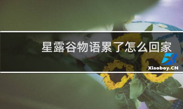 星露谷物语累了怎么回家