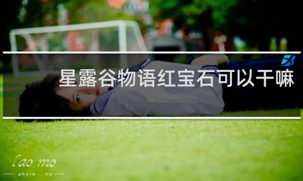 星露谷物语红宝石可以干嘛