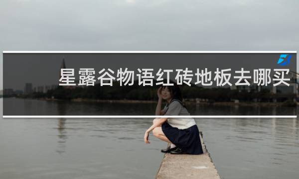 星露谷物语红砖地板去哪买