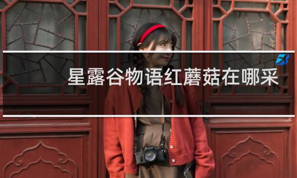 星露谷物语红蘑菇在哪采