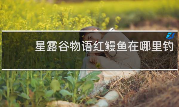 星露谷物语红鳗鱼在哪里钓