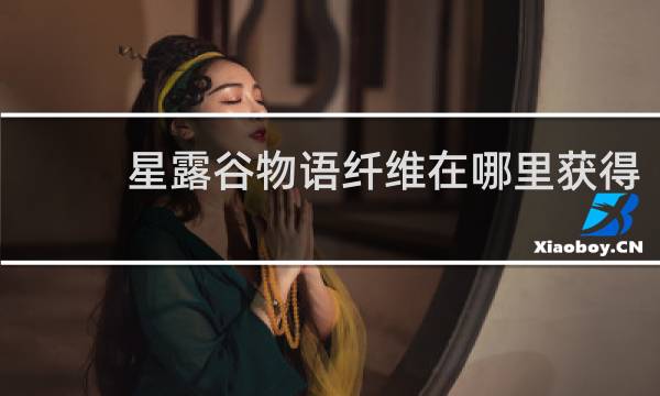 星露谷物语纤维在哪里获得