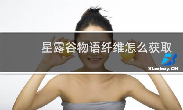 星露谷物语纤维怎么获取