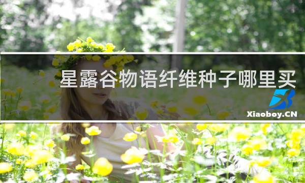 星露谷物语纤维种子哪里买