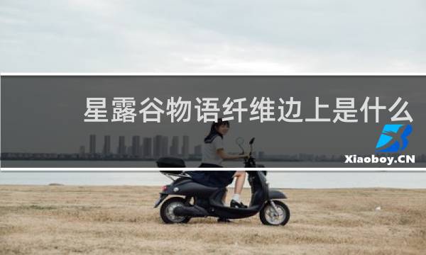 星露谷物语纤维边上是什么