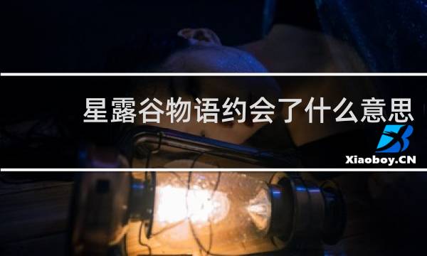 星露谷物语约会了什么意思
