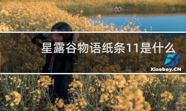 星露谷物语纸条11是什么