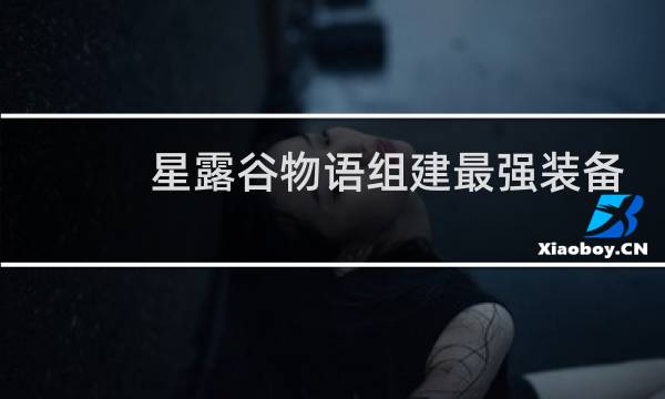 星露谷物语组建最强装备