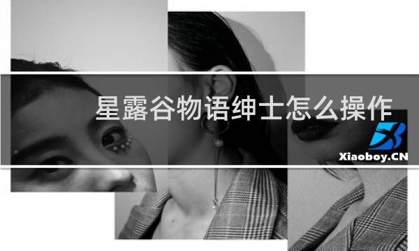 星露谷物语绅士怎么操作