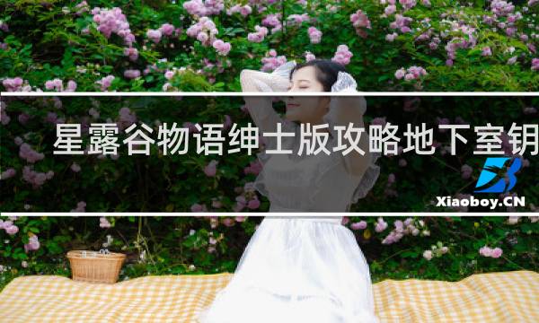 星露谷物语绅士版攻略地下室钥匙