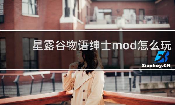 星露谷物语绅士mod怎么玩