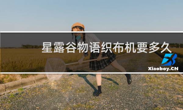 星露谷物语织布机要多久