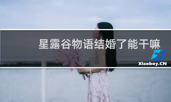 星露谷物语结婚了能干嘛