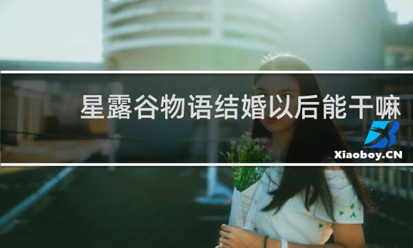 星露谷物语结婚以后能干嘛