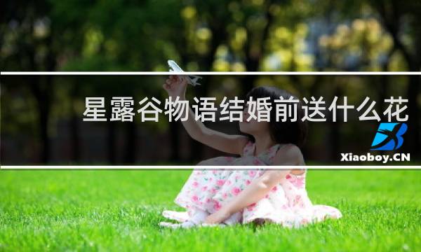 星露谷物语结婚前送什么花