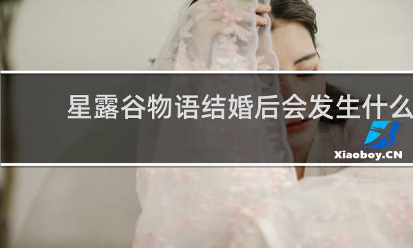 星露谷物语结婚后会发生什么