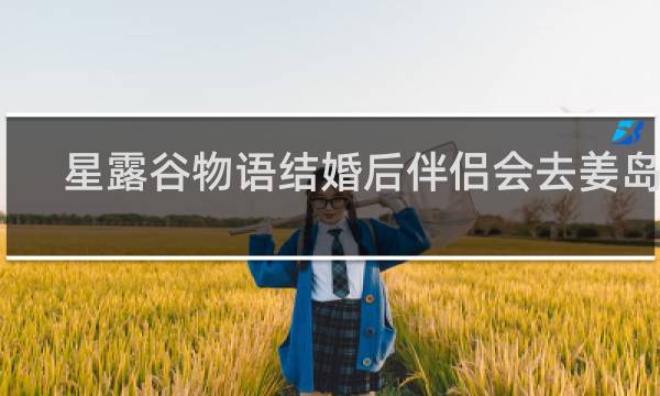 星露谷物语结婚后伴侣会去姜岛吗
