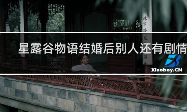 星露谷物语结婚后别人还有剧情吗