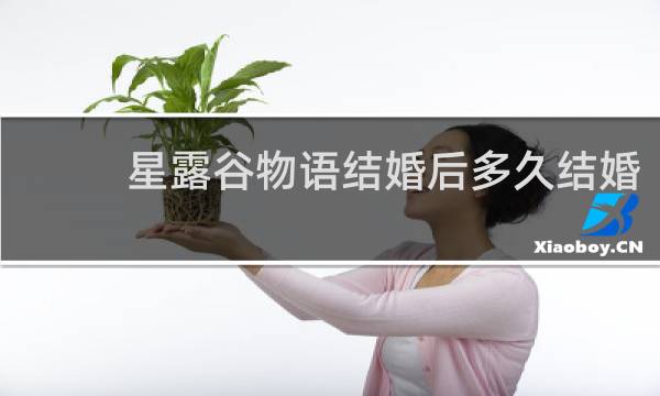 星露谷物语结婚后多久结婚
