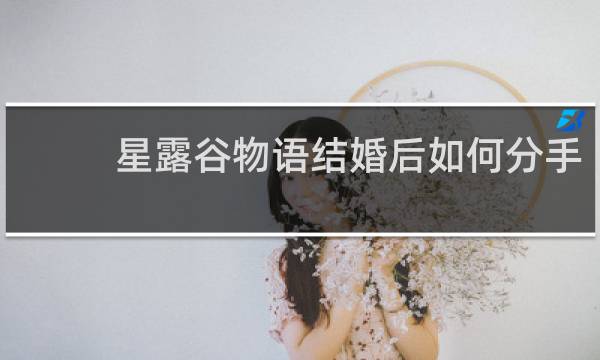 星露谷物语结婚后如何分手
