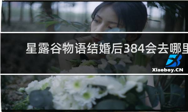 星露谷物语结婚后384会去哪里