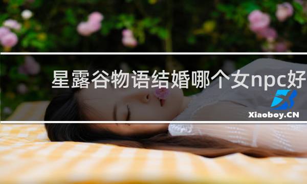 星露谷物语结婚哪个女npc好