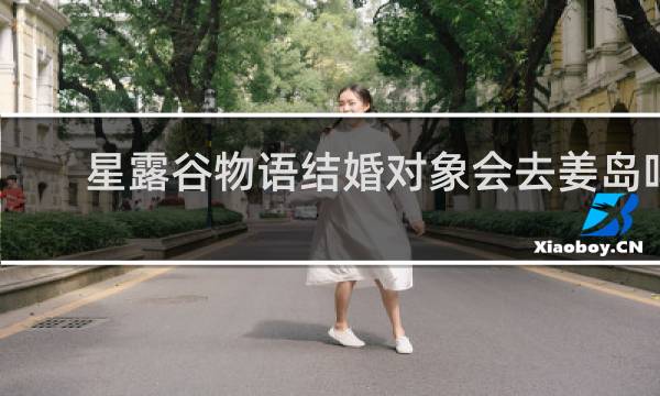 星露谷物语结婚对象会去姜岛吗