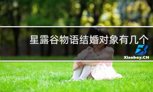 星露谷物语结婚对象有几个