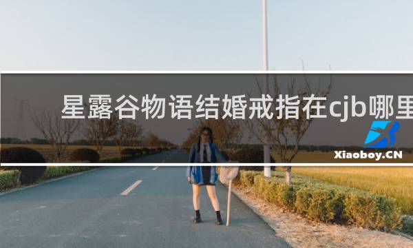 星露谷物语结婚戒指在cjb哪里