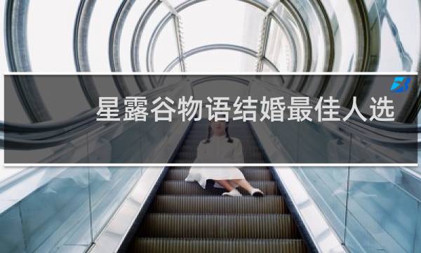 星露谷物语结婚最佳人选