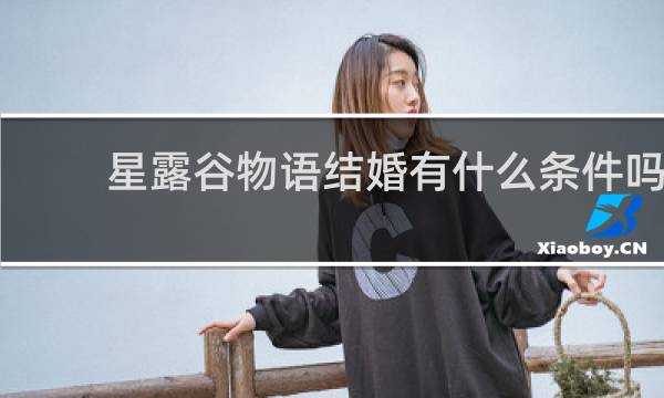 星露谷物语结婚有什么条件吗