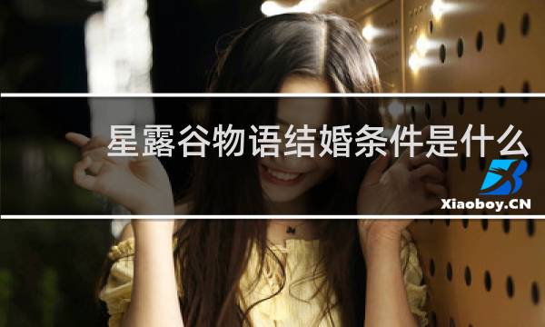 星露谷物语结婚条件是什么