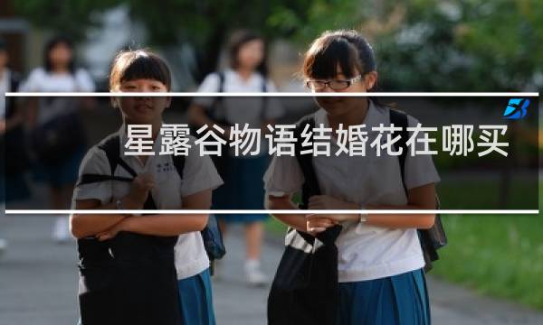 星露谷物语结婚花在哪买