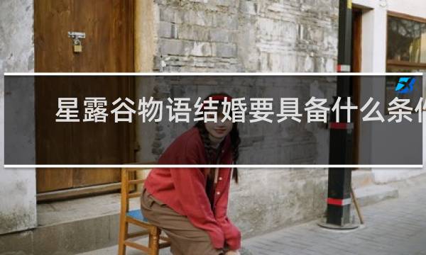 星露谷物语结婚要具备什么条件