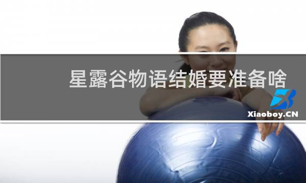星露谷物语结婚要准备啥