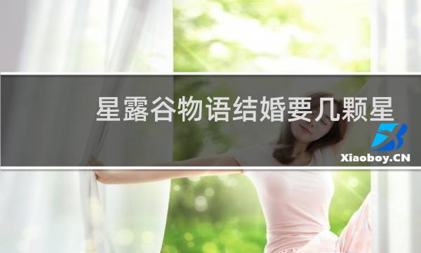 星露谷物语结婚要几颗星