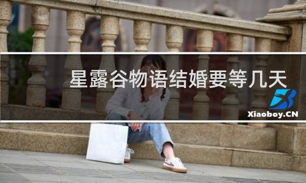 星露谷物语结婚要等几天