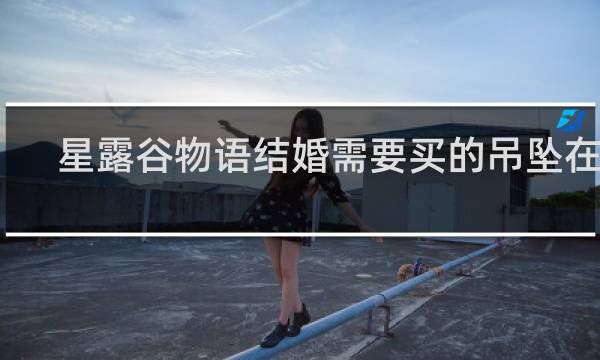 星露谷物语结婚需要买的吊坠在哪