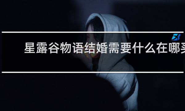星露谷物语结婚需要什么在哪买