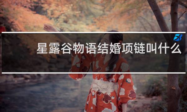 星露谷物语结婚项链叫什么