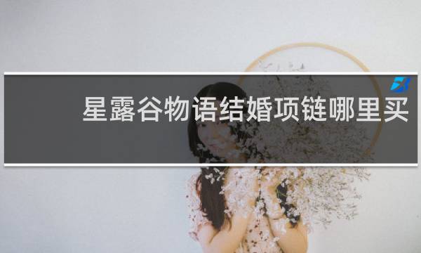 星露谷物语结婚项链哪里买