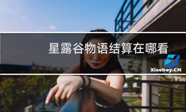 星露谷物语结算在哪看