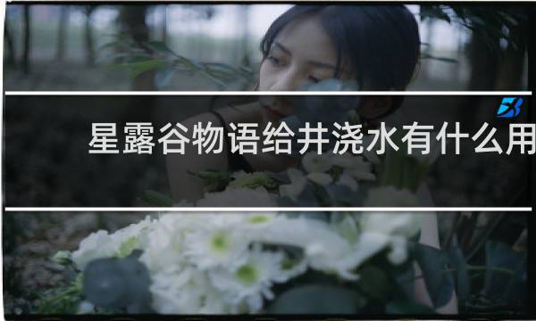 星露谷物语给井浇水有什么用
