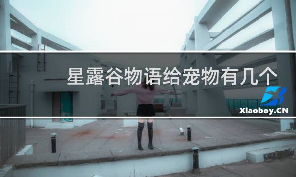 星露谷物语给宠物有几个