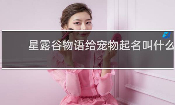 星露谷物语给宠物起名叫什么